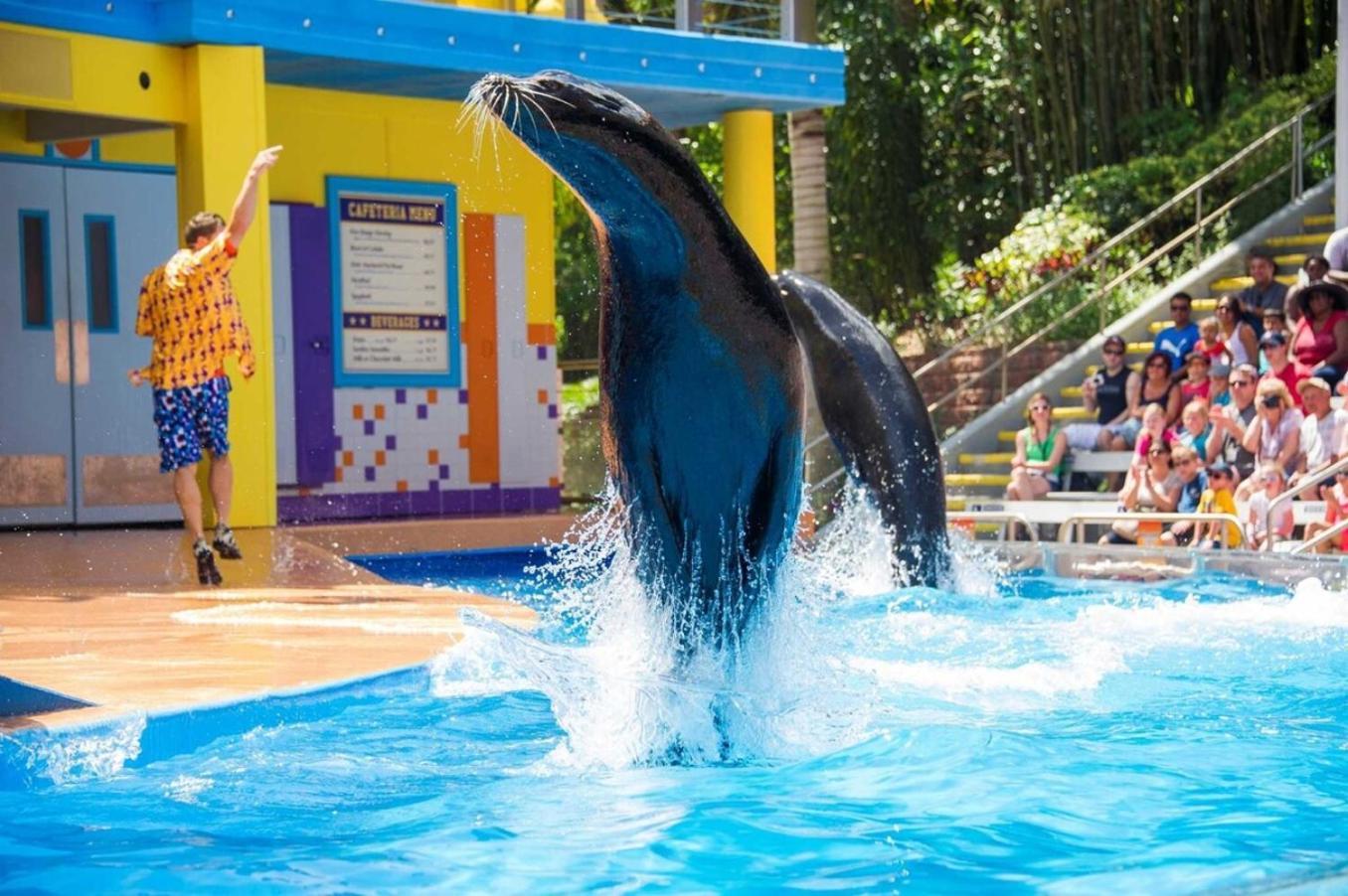 Superb House By Seaworld, Private Pool & Gameroom Σαν Αντόνιο Εξωτερικό φωτογραφία